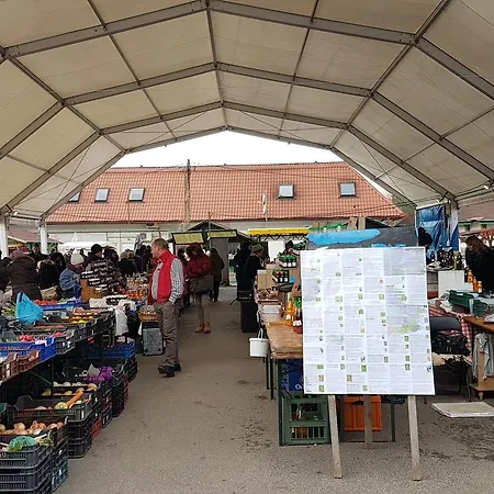 Апартаменты Orchidea *