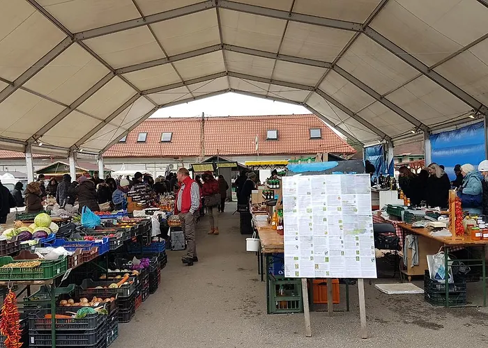 Διαμέρισμα Orchidea *