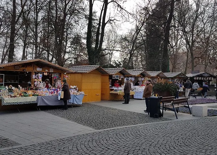 Orchidea Διαμέρισμα *